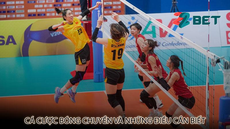 Cá cược bóng chuyền và những điều cần biết