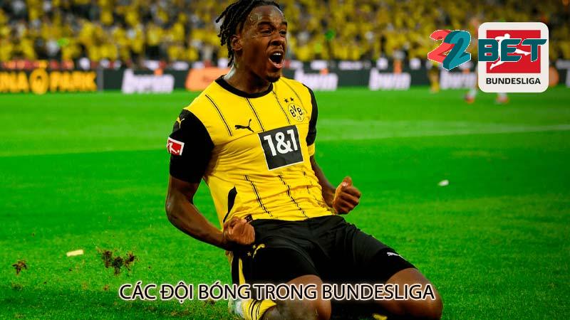 Các đội bóng trong Bundesliga